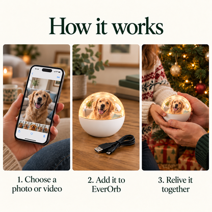 4Ever Orb - Video Memory Ornament